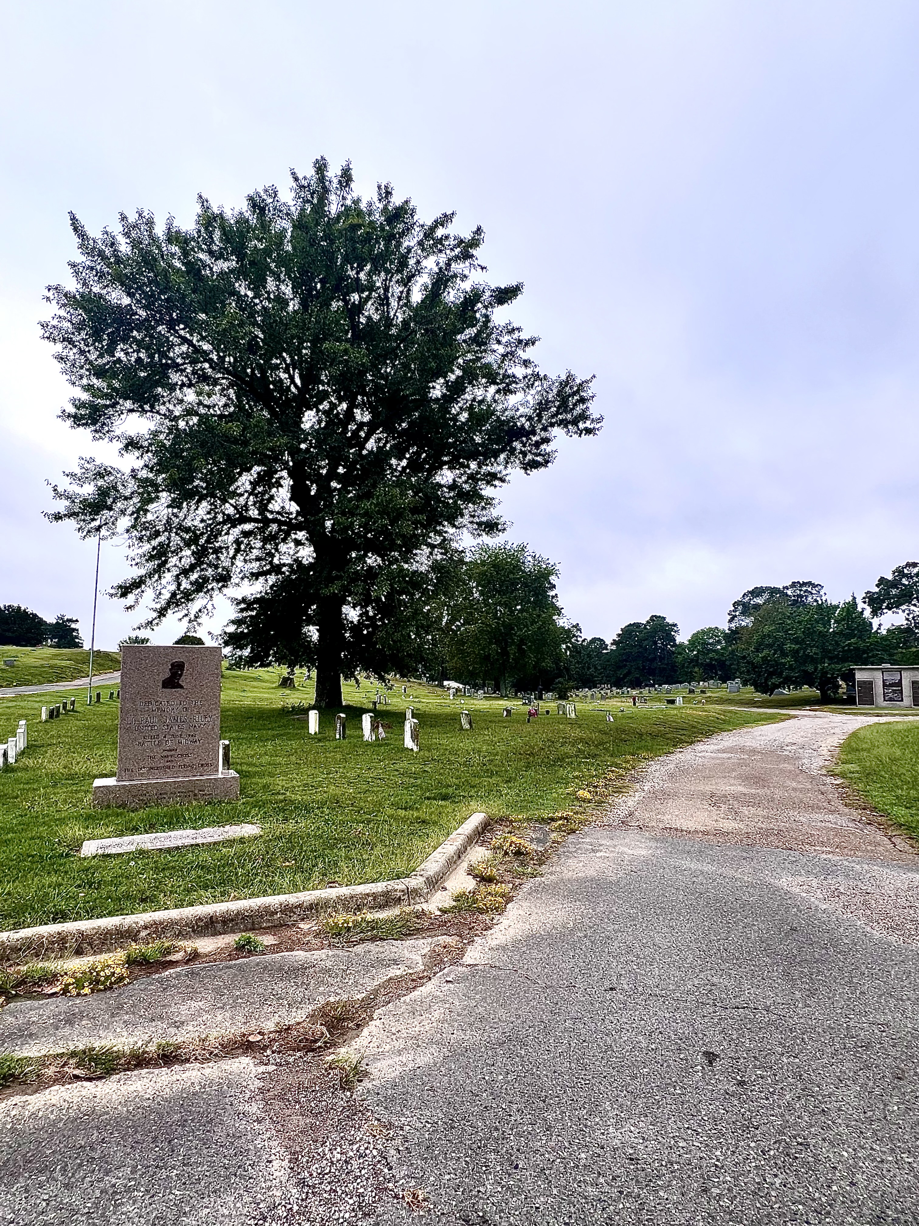 Greenwood Cemetery view